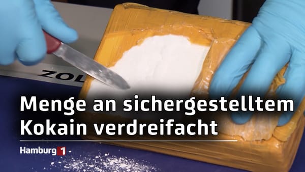 Rekordhoch: Menge an sichergestelltem Kokain im Hamburger Hafen verdreifacht