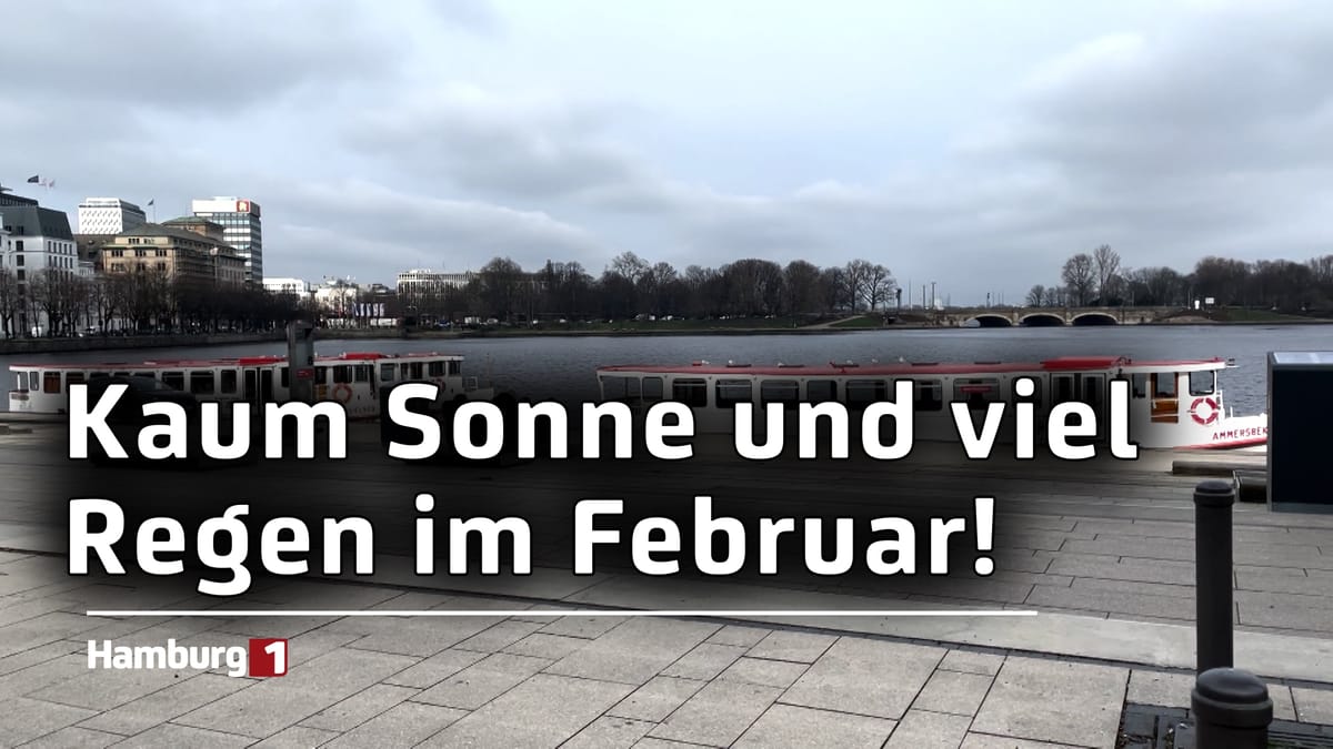 Kaum Sonne im Februar