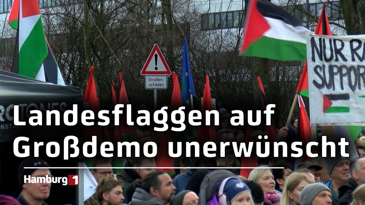 Debatte um Flaggen auf Demo