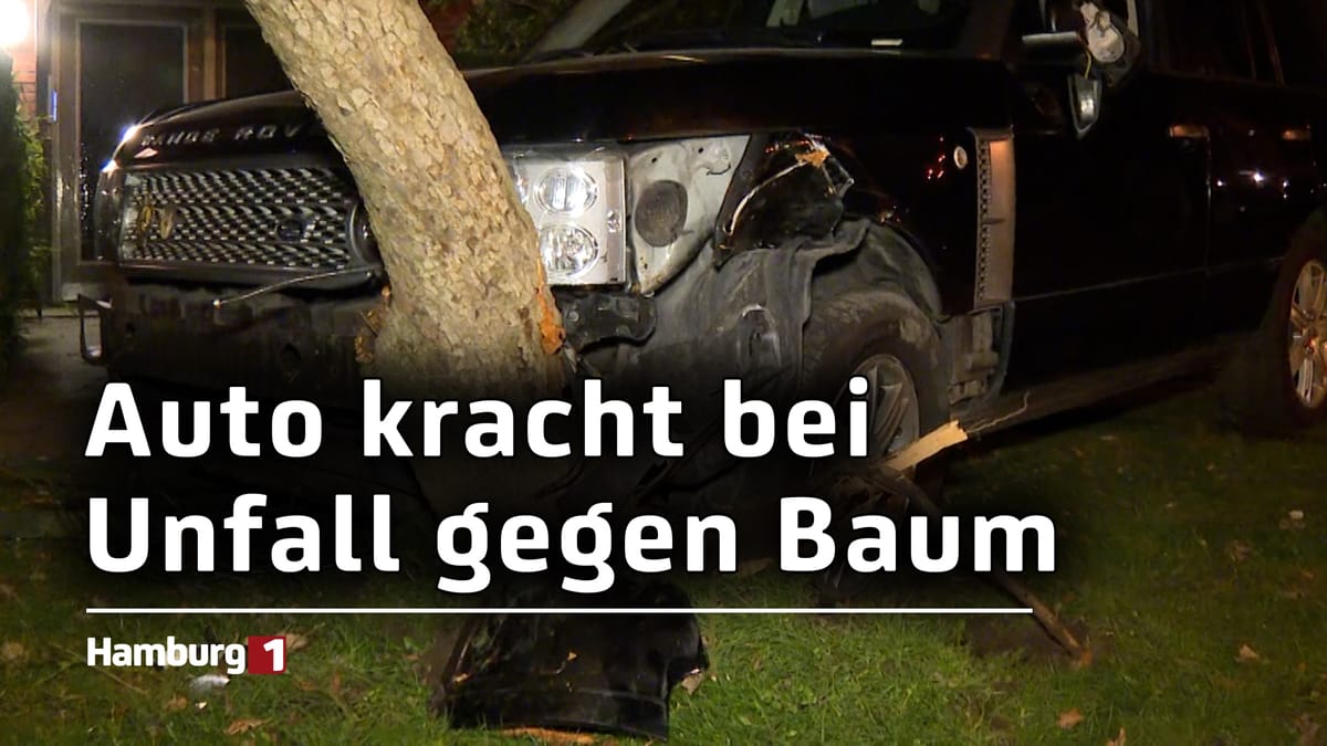 Auto kracht gegen Baum