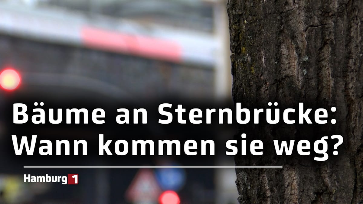 Die Pläne der Deutschen Bahn