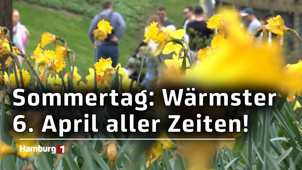 Sommerausbruch in Hamburg: Viele Menschen genießen das Rekordwetter