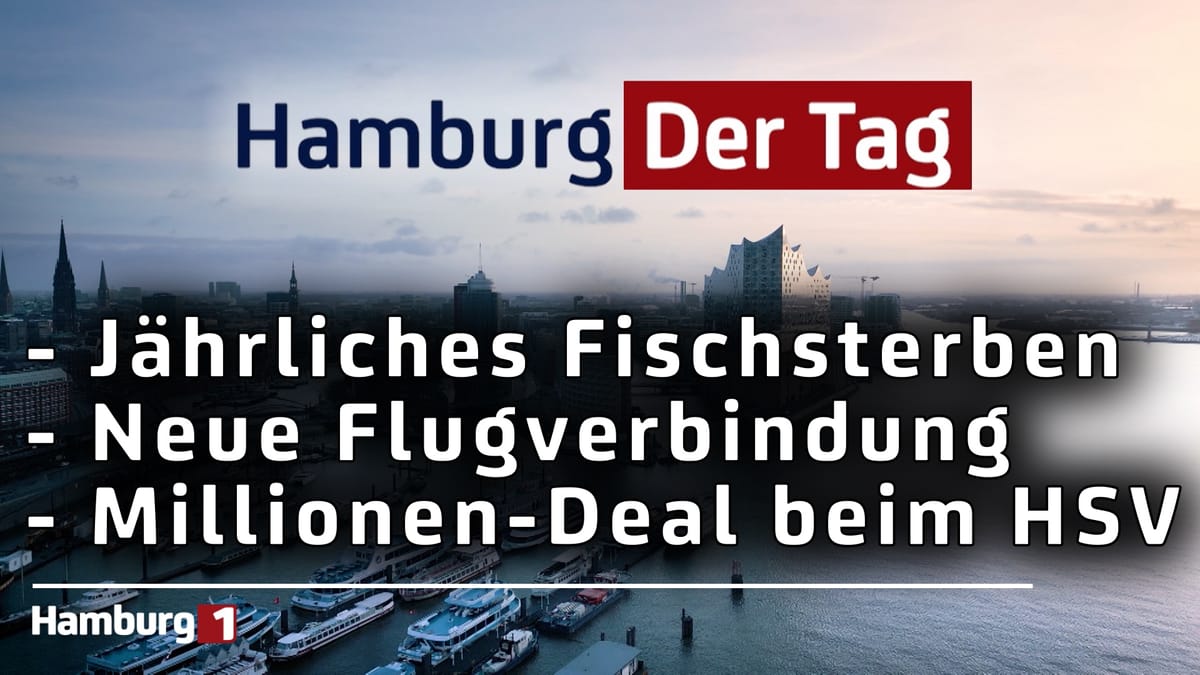 Hamburg Der Tag vom 27.06.2025