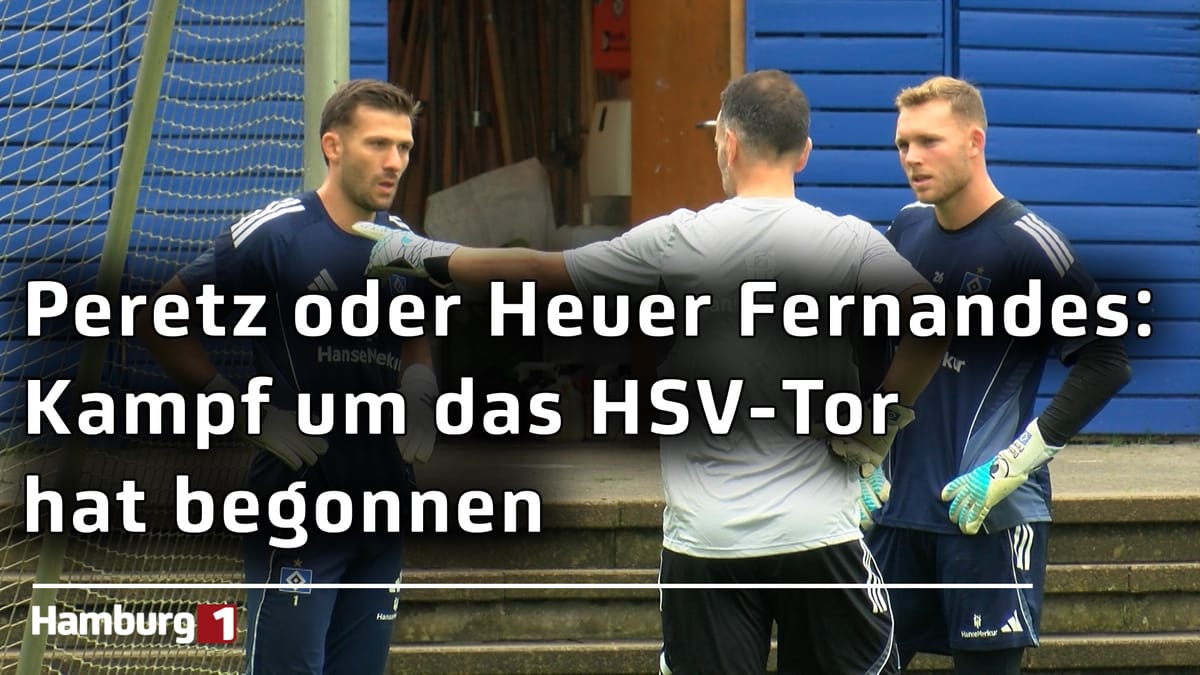 Daniel Peretz oder Daniel Heuer Fernandes: Welchen Torhüter wünschen sich die HSV-Fans im Tor?