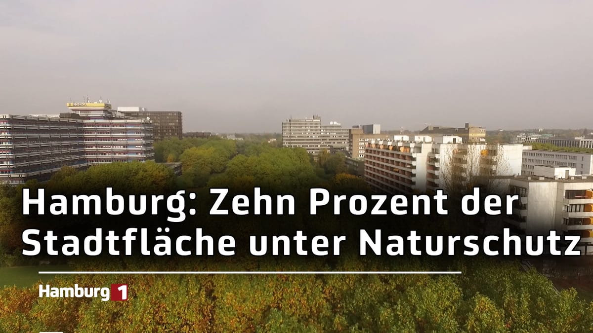 Hamburg erreicht Naturschutzziel – Stadt bleibt grün