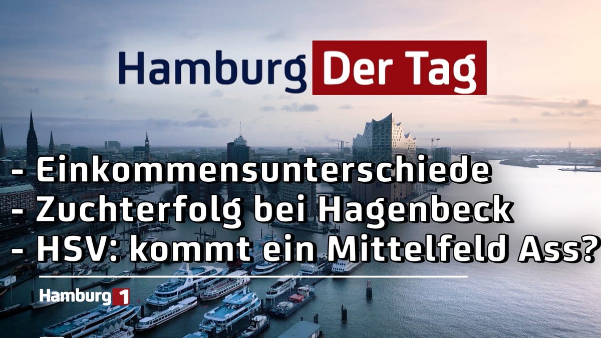 Hamburg Der Tag vom 15.08.2025