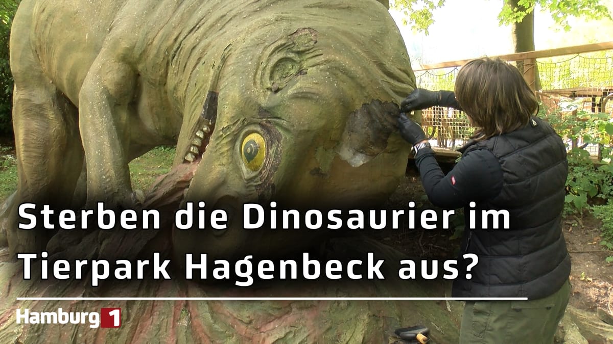 Restauratorin untersucht Modelle bei Hagenbeck: 117 Jahre alte Dinosaurier-Figuren auf dem Prüfstand