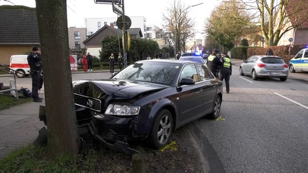 Eidelstedt: Audi kracht beim ausweichen gegen einen Baum