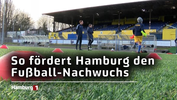 So fördert Hamburg den Fußball-Nachwuchs