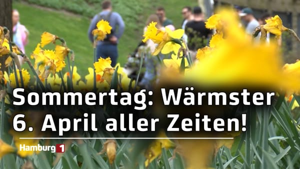 Sommerausbruch in Hamburg: Viele Menschen genießen das Rekordwetter