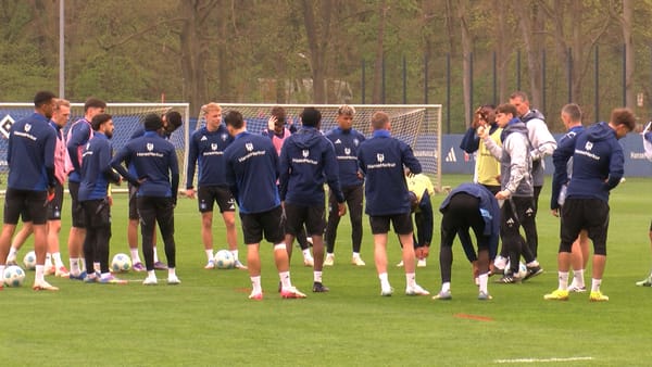 Nach 7 Jahren Zweitklassigkeit: HSV will gegen Ulm den Aufstieg in die 1. Bundesliga perfekt machen