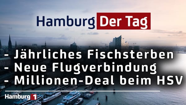 Hamburg Der Tag vom 27.06.2025
