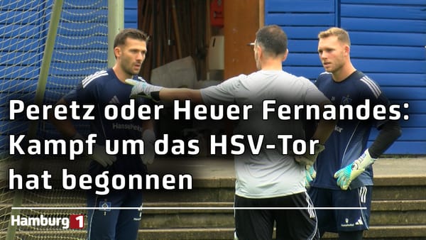 Daniel Peretz oder Daniel Heuer Fernandes: Welchen Torhüter wünschen sich die HSV-Fans im Tor?