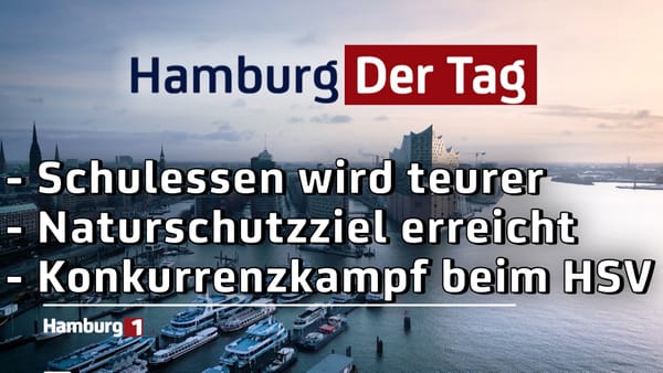 Hamburg Der Tag vom 29.07.2025