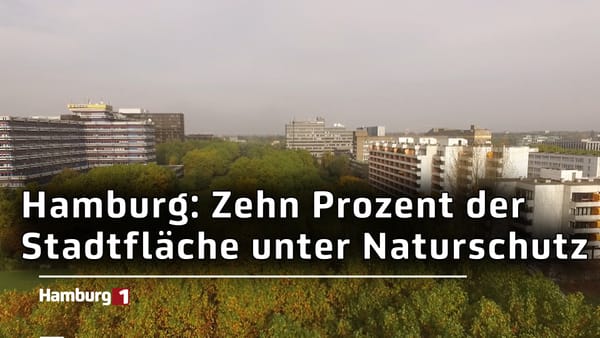 Hamburg erreicht Naturschutzziel – Stadt bleibt grün