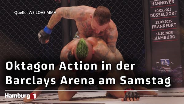 Am 18. Oktober: We Love MMA 82 liefert spektakuläre Fights in der Barclays Arena