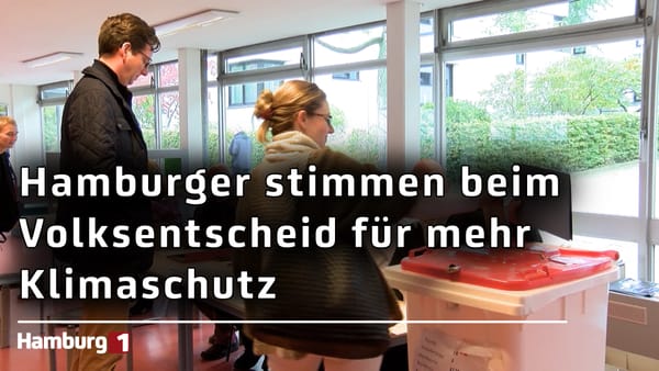 Ausgang der Volksentscheide: Ja zu mehr Klimaschutz; Nein zum Grundeinkommen