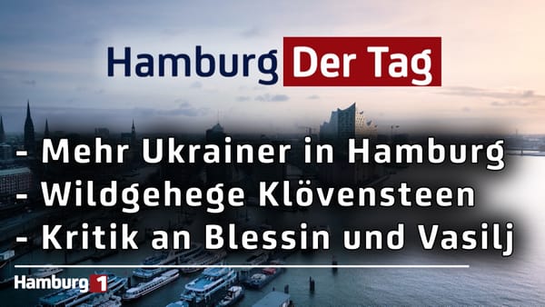 Hamburg Der Tag vom 12.11.2025
