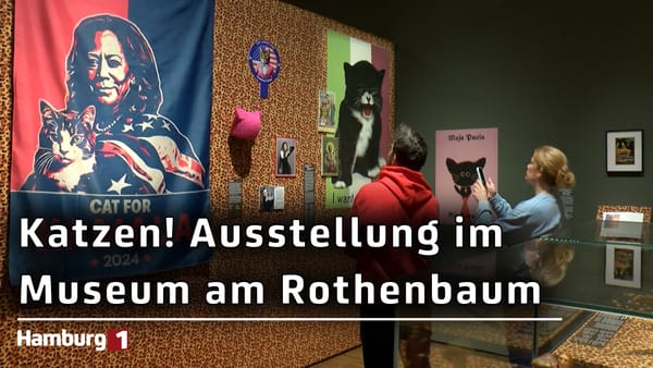 Neue KATZEN! Ausstellung: Was macht die jahrtausendealte Faszination der Tiere auf die Menschen aus?