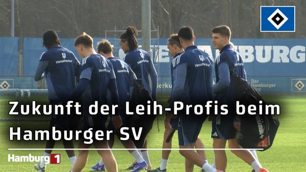 Zukunft der Leih-Profis beim HSV: Wie geht es weiter mit Vuskovic, Vieira, Downs, Sahiti und Co.?