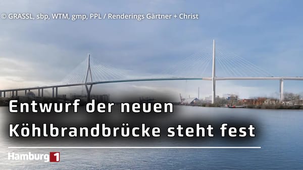 Siegerentwurf präsentiert: So soll die neue Köhlbrandbrücke aussehen