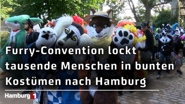 Eurofurence Convention 2026: Tausende Menschen der Furry-Szene feiern wieder in Hamburg