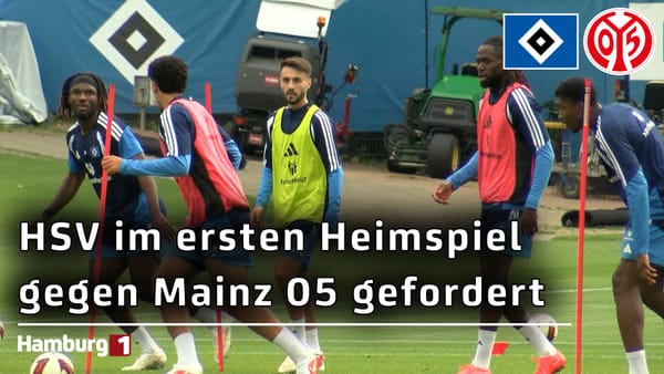 Møller Wolfe und El Ouahdi vor ihrem HSV-Debüt: Erstes Heimspiel der Saison gegen Mainz am Sonntag